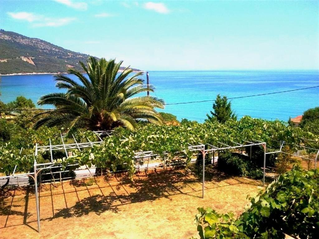 Hotel Kinira Exterior foto
